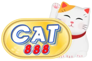 cat888